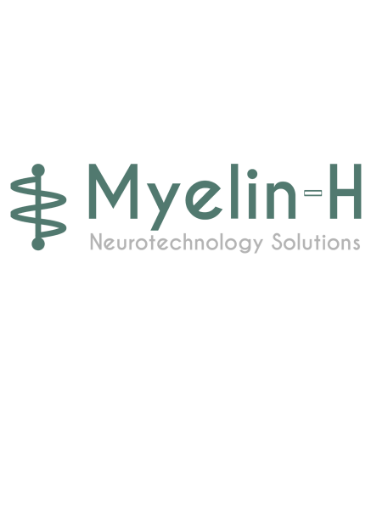 Myelin-H